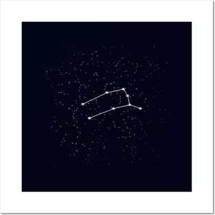 Gemini constellation ✨ Posters and Art